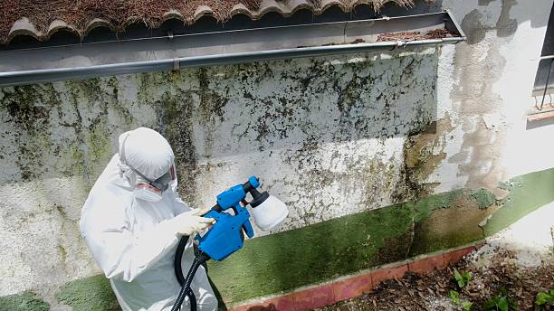 Trusted Bathroom Mold Removal service in Clear Brook, VA - Cheap Mold Removal